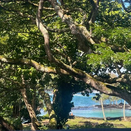 Ocean View Mauna Loa Shores Kai Ekahi #201 Next To Carlsmith Beach Park Hilo Hi Екстер'єр фото