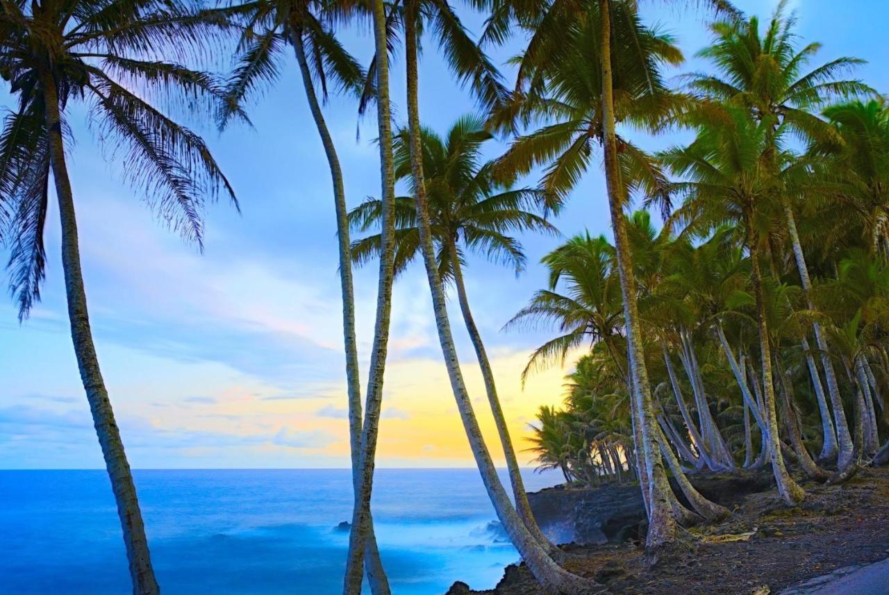 Ocean View Mauna Loa Shores Kai Ekahi #201 Next To Carlsmith Beach Park Hilo Hi Екстер'єр фото