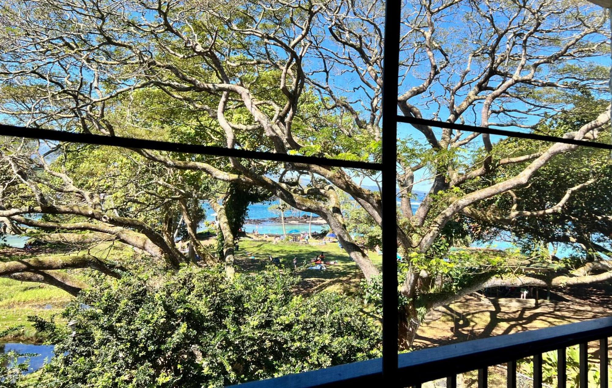 Ocean View Mauna Loa Shores Kai Ekahi #201 Next To Carlsmith Beach Park Hilo Hi Екстер'єр фото