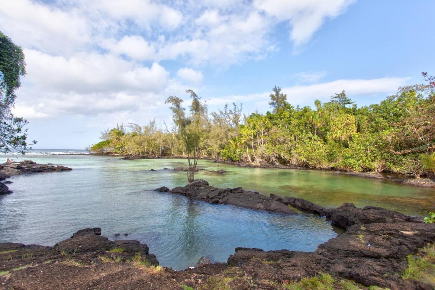 Ocean View Mauna Loa Shores Kai Ekahi #201 Next To Carlsmith Beach Park Hilo Hi Екстер'єр фото