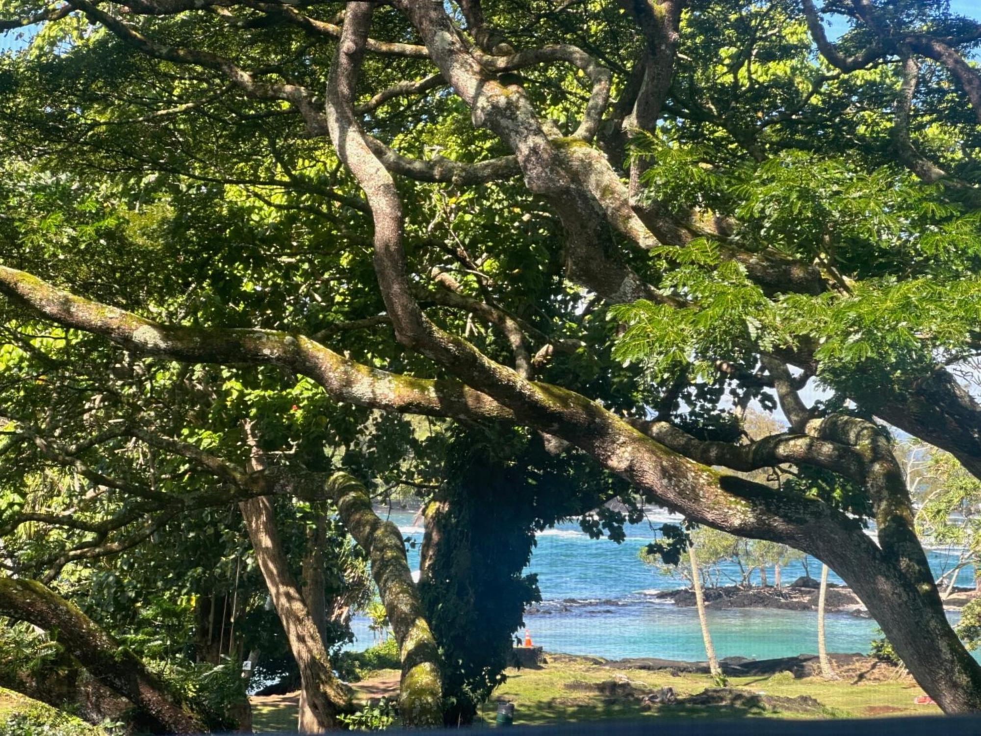 Ocean View Mauna Loa Shores Kai Ekahi #201 Next To Carlsmith Beach Park Hilo Hi Екстер'єр фото